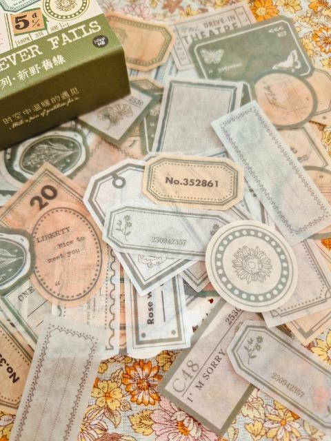 �V�i��������V�[��100����  �� �C���e���A/���C�t�� 