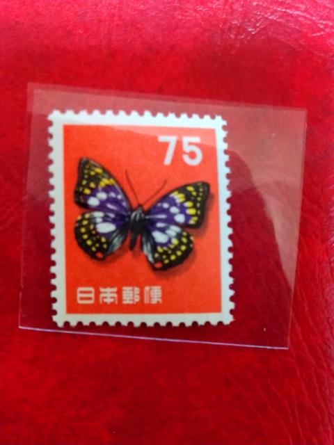 ��2�����A������؎聖���g�p�i�����i  �� �z�r�[�� 