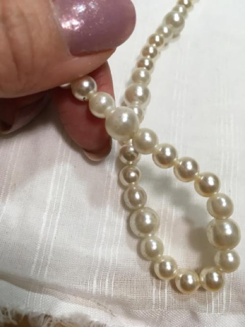 p[̃C~e[VlbNX  ANZT[/v 