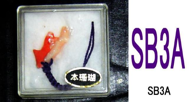 根付け風ミニ飾り < 男性アクセサリー/時計  根付け風ミニ飾り  < 男性アクセサリー/時計の