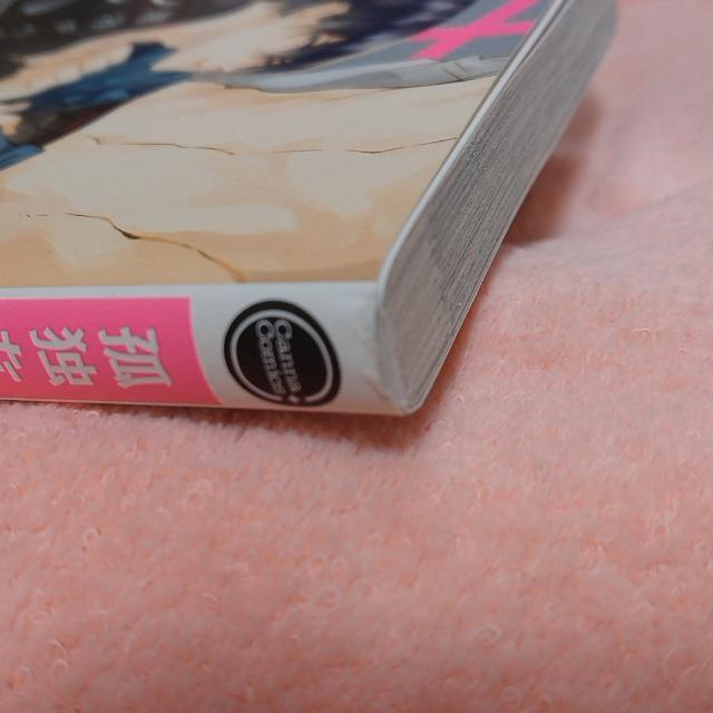 ǓƂȑ͐l `n  Aj/R~bN/LN^[ 