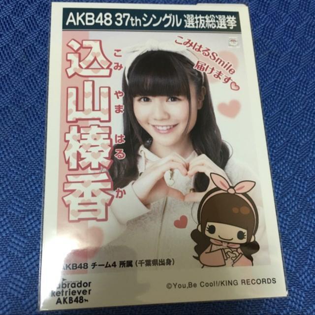 AKB48 込山榛香 ラブラドールレトリーバー 生写真 < タレントグッズ AKB48 込山榛香 ラブラドールレトリーバー 生写真 < タレントグッズの
