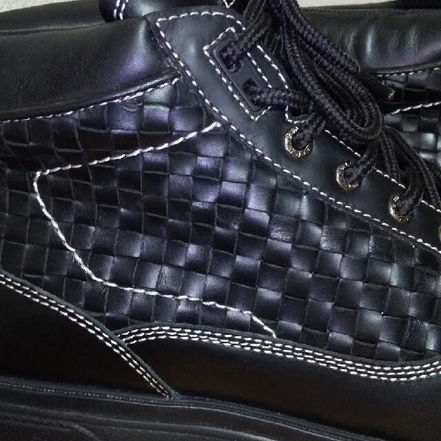 Terrem e KITE JCg U[u[c gp@28.5