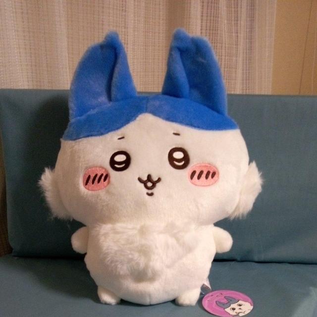 p[hʂ݁@n` 
