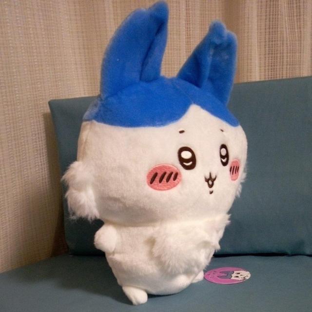 p[hʂ݁@n`