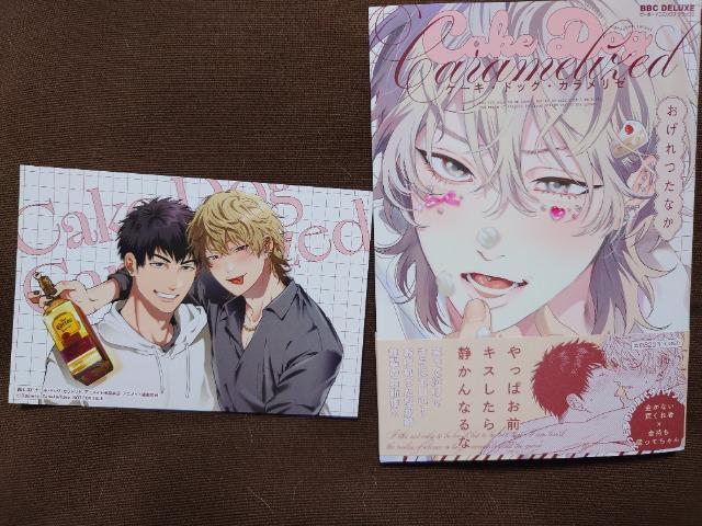 BLCXgJ[htyP[LEhbOEJ[zȂ   Aj/R~bN/LN^[ 