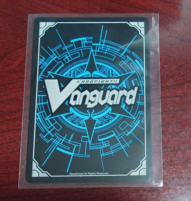 J[ht@CgII@K[h [E m[} G-BT13/066 C 1176  g[fBOJ[h 