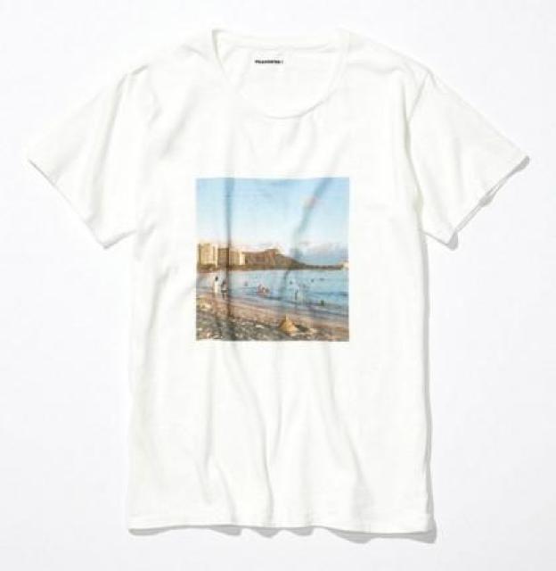 Vi PIG&ROOSTER sbOAh[X^[ tHg TVc 42  Jbg\[ DIAMOND HEAD PHOTO   jt@bV 