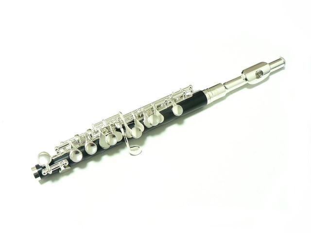 FAIRY sbR EViEI  zr[ 