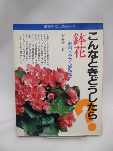 2407 鉢花: こんなときどうしたら 栽培トラブル解決法 < 本/雑誌 2407 鉢花: こんなときどうしたら 栽培トラブル解決法 < 本/雑誌の
