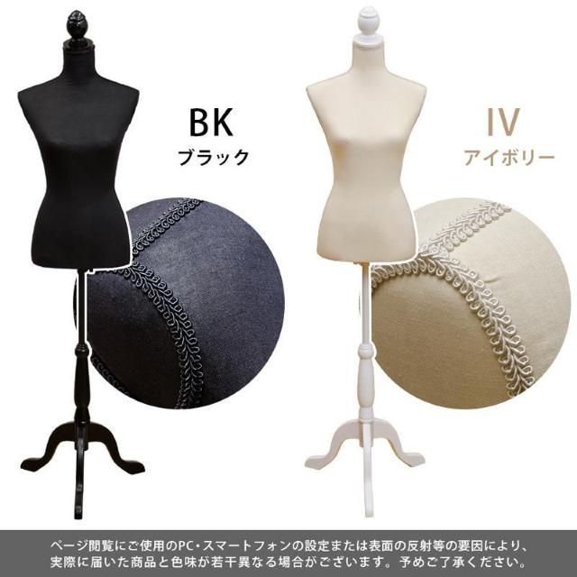 yzg\[ }lL v[ n AEgbg 󂠂  CeA/Ct 