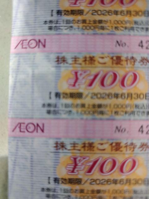 イオン株主優待券100円券 < チケット/金券  イオン株主優待券100円券  < チケット/金券の