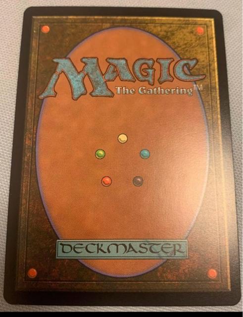 MTG FOIL �s�т̑�n �� �g���[�f�B���O�J�[�h�� 