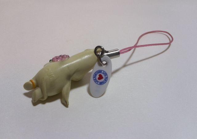 mm t[ DAKARA 񔄕i Xgbv