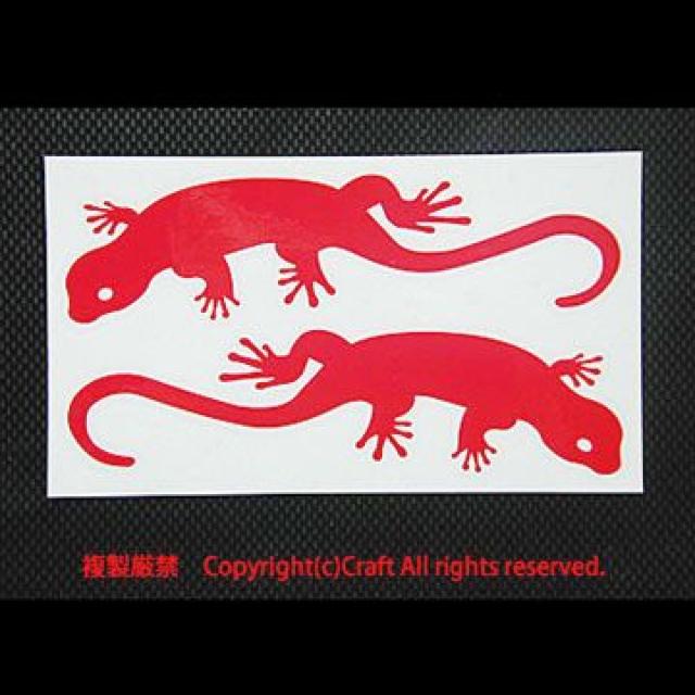 Lizard AgJQ XebJ[(/15cm)E1g  /oCN