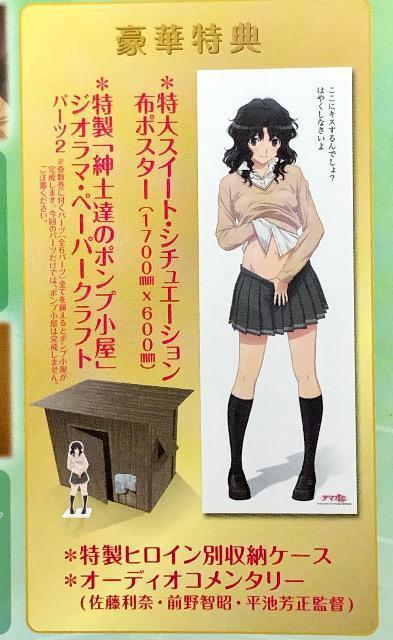 アマガミ SS 棚町 薫 編 上下巻 初回版(布ポスター・ペーパークラフト付き) DVD < CD/DVD/ビデオ  アマガミ SS 棚町 薫 編 上下巻 初回版(布ポスター・ペーパークラフト付き) DVD < CD/DVD/ビデオの