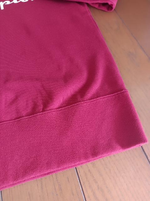 Champion★薄手トレーナー★ロンT★新品同様★カッコイイ素敵★チャンピオン★ < 女性ファッション  Champion★薄手トレーナー★ロンT★新品同様★カッコイイ素敵★チャンピオン★ < 女性ファッションの