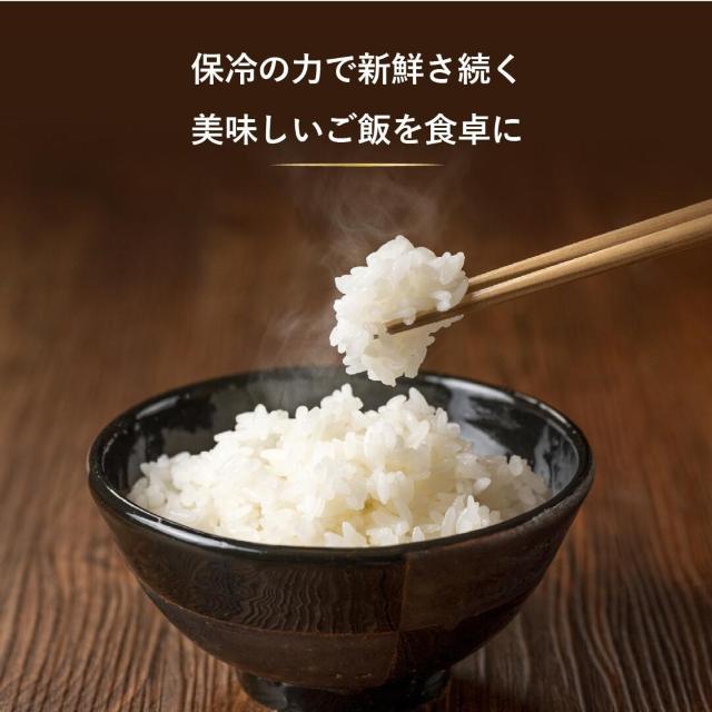 ۗĂт@CXN[[@11Kg@퉷ۑ@  CeA/Ct 