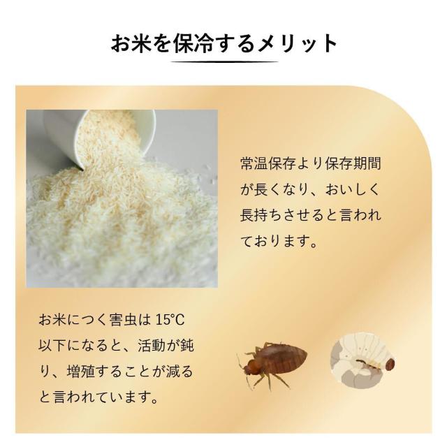 ۗĂт@CXN[[@11Kg@퉷ۑ@  CeA/Ct 