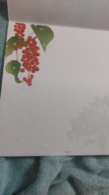 �~�h���f�U�C���@�z�O�a����ⳁ@�~�̎�?�� �� �C���e���A/���C�t�� 