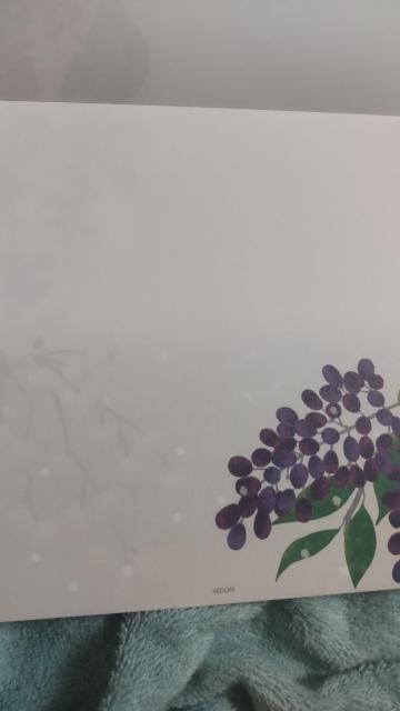 �~�h���f�U�C���@�z�O�a����ⳁ@�~�̎�?�� �� �C���e���A/���C�t�� 