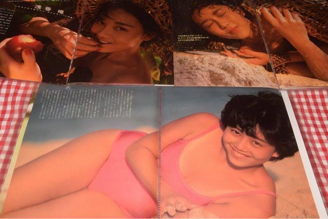 ���M�d�� �󍁗B���؂蔲���� �� �^�����g�O�b�Y�� 