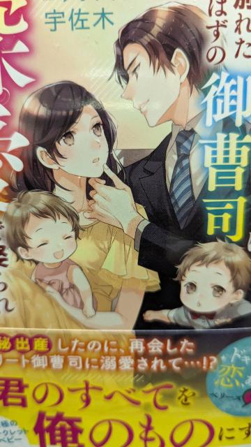 双子ママですが別れたはずの御曹司に深愛で娶られました★宇佐木★ベリーズ文庫 < 本/雑誌 双子ママですが別れたはずの御曹司に深愛で娶られました★宇佐木★ベリーズ文庫 < 本/雑誌の