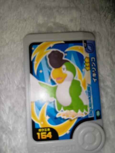 �|�P�����t�����_���C�L�����R�����g�p  �� �g���[�f�B���O�J�[�h�� 