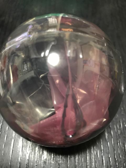 いきもの大図鑑 かぶとむし04 モーレンカンプオオカブト 未開封 < ホビー  いきもの大図鑑 かぶとむし04 モーレンカンプオオカブト 未開封  < ホビーの