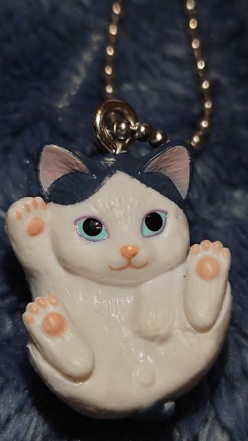 まんまるねこマスコット 人気ねこちゃん大集合 カプセルトイ ガチャ ハチワレ < ホビー  まんまるねこマスコット 人気ねこちゃん大集合 カプセルトイ ガチャ ハチワレ  < ホビーの