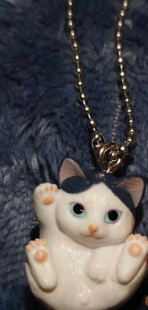まんまるねこマスコット 人気ねこちゃん大集合 カプセルトイ ガチャ ハチワレ < ホビー  まんまるねこマスコット 人気ねこちゃん大集合 カプセルトイ ガチャ ハチワレ < ホビーの