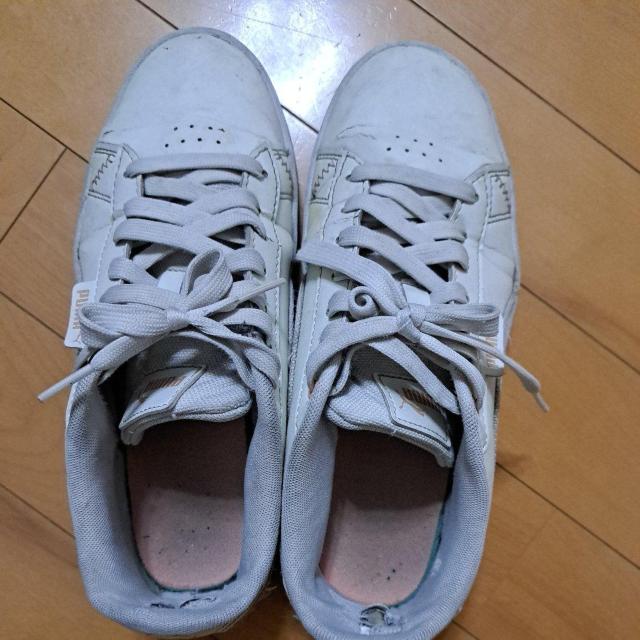 24cmPUMA�̃X�j�[�J�[ 