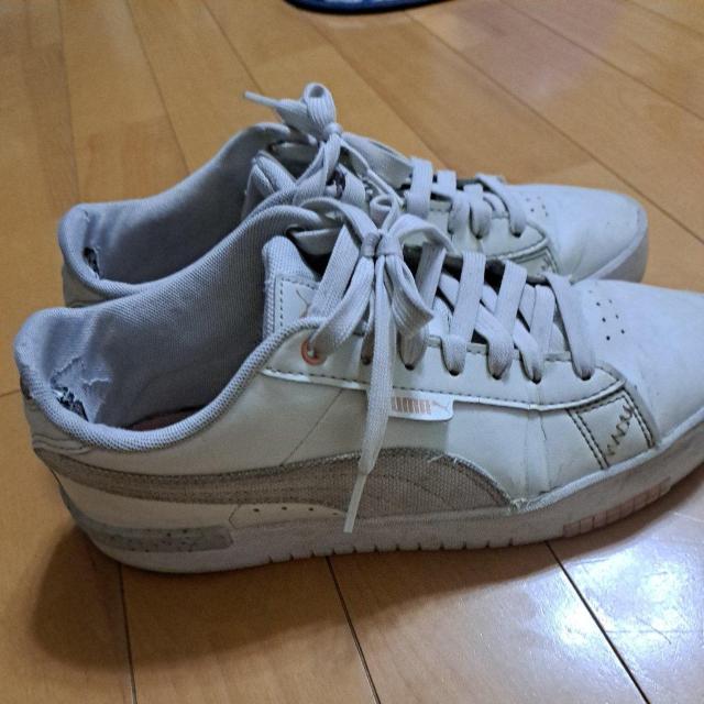 24cmPUMA�̃X�j�[�J�[