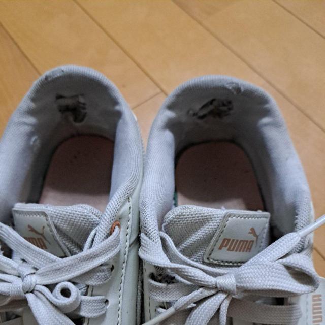 24cmPUMA�̃X�j�[�J�[