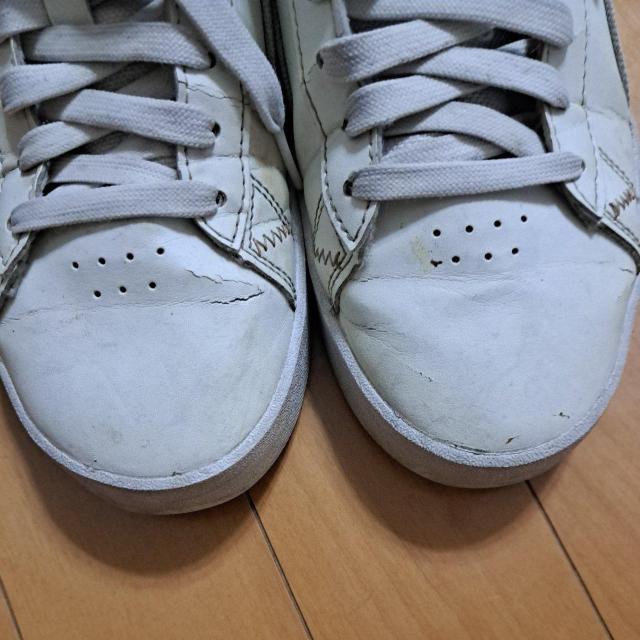 24cmPUMA�̃X�j�[�J�[