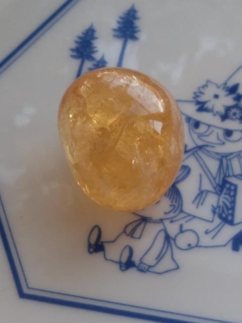 �V�g�����@�^���u���@�V�R�� �� �z�r�[�� 