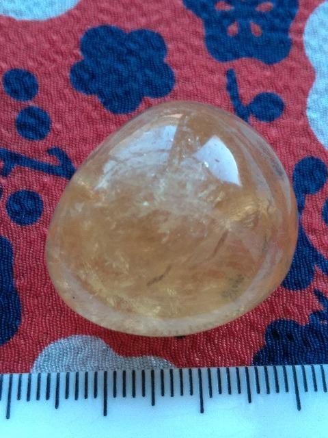 �V�g�����@�^���u���@�V�R�� �� �z�r�[�� 