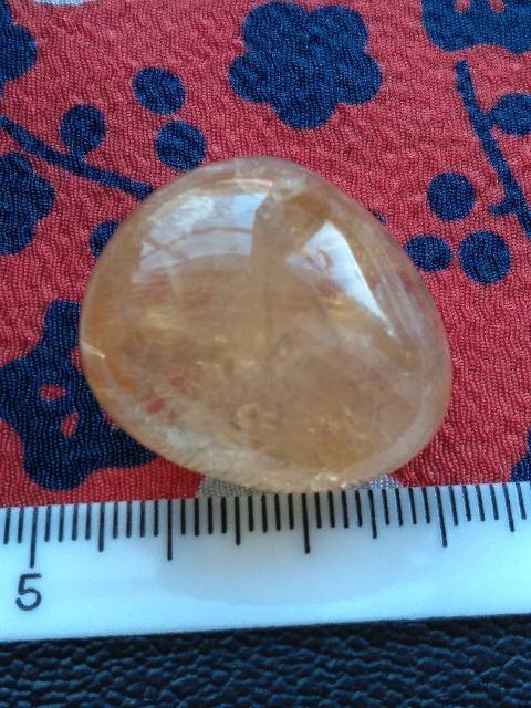 �V�g�����@�^���u���@�V�R�� �� �z�r�[�� 