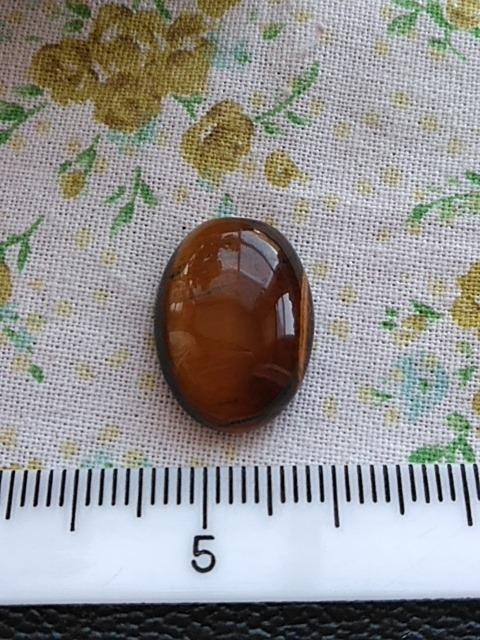 �V�g�����@�^���u���@�V�R�� �� �z�r�[�� 