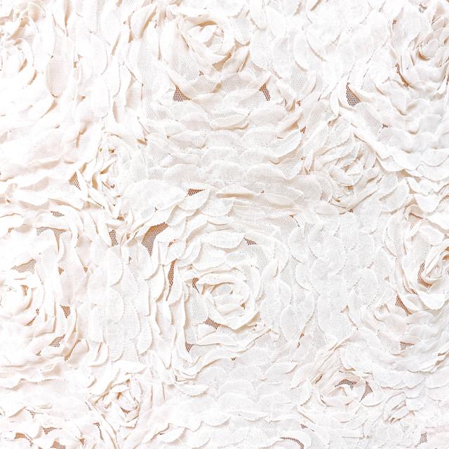 flowerrosepslJx[W[Yt[~jXJ[gԕ  uh 