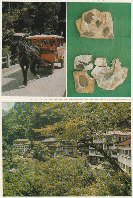 塩原 絵はがき7枚 5-7◎ < ホビー  塩原 絵はがき7枚 5-7◎ < ホビーの