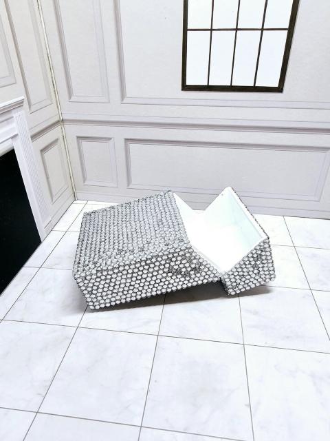 (22) NACXg[ fR ^oRP[X VKbgP[X  t@bV 