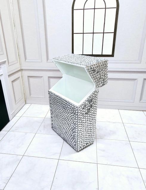 (22) NACXg[ fR ^oRP[X VKbgP[X  t@bV 