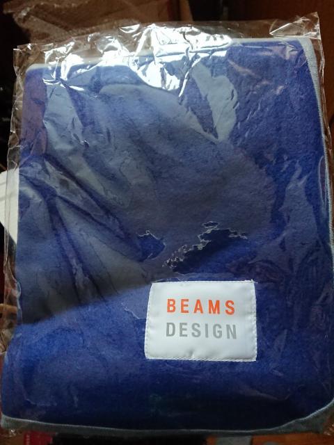 2019 BEAMS uPbg   uh 