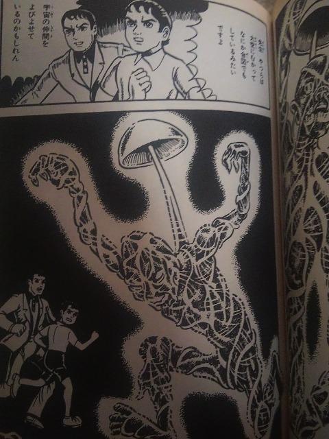 ★キノコンガ★白川まり奈 < アニメ/コミック/キャラクター ★キノコンガ★白川まり奈 < アニメ/コミック/キャラクターの