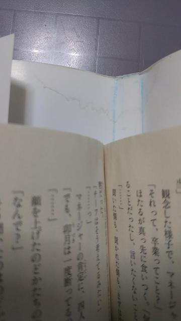 文庫本 青春ブタ野郎は迷えるシンガーの夢を見ない < 本/雑誌  文庫本 青春ブタ野郎は迷えるシンガーの夢を見ない < 本/雑誌の