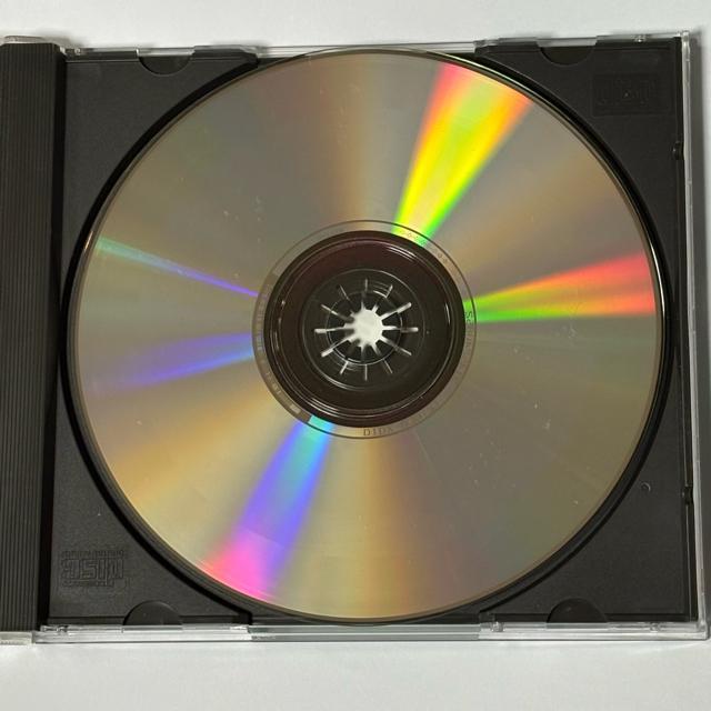 PJ HARVEY / TO BRING YOU MY LOVE < CD/DVD/ビデオ  PJ HARVEY / TO BRING YOU MY LOVE < CD/DVD/ビデオの