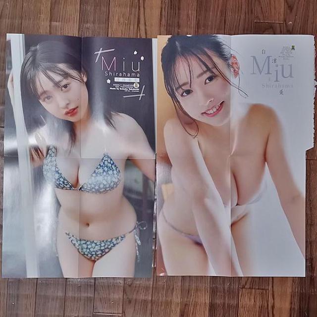 _e@ʂahf|X^[Q   ^gObY 