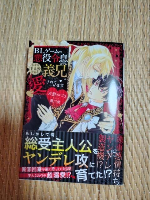 1月新刊 BLゲームの悪役令息なのになぜか主人公である・・ 天野かづき < 本/雑誌 1月新刊 BLゲームの悪役令息なのになぜか主人公である・・ 天野かづき < 本/雑誌の