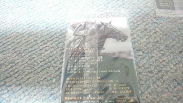 �\���O���C�����̃J�|�h�i���n) �� �z�r�[�� 